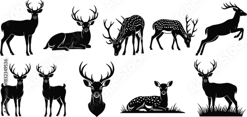 Deer silhouette vector, wildlife illustration set, black antlered animal design, grazing and leaping poses, nature icon collection