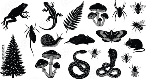 Forest ecosystem silhouette, biodiversity vector icons, black nature illustration, animal insect plant fungi design, educational graphic set