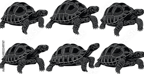Tortoise silhouette vector, reptile illustration, black and white turtle art, shell pattern design, slow animal profile, nature icon
