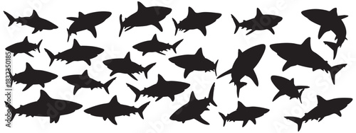 School of sharks swimming