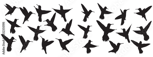 Flock of birds in flight