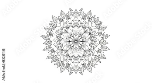 Beautiful Floral Mandala Pattern for Meditation and Relaxation