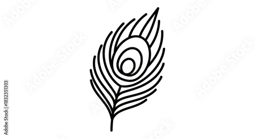 Elegant peacock feather line art illustration.