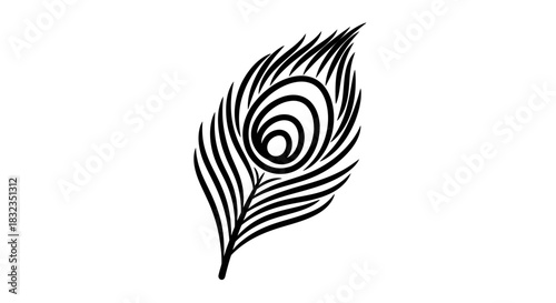 Stylized Peacock Feather Illustration on White Background