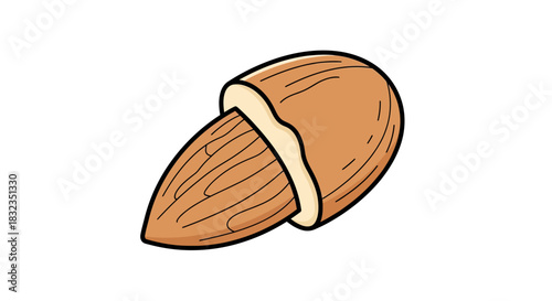 Cartoon almond nut isolated on white background.