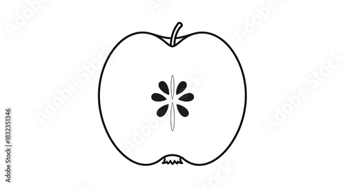 Simple black and white line art illustration of an apple cross section.