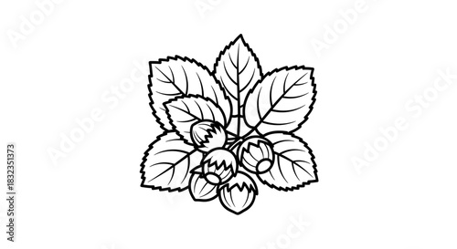 Simple line art illustration of fresh berries with leaves.