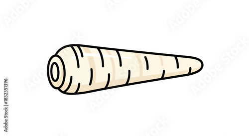 Fresh Parsnip Root Vegetable Isolated Illustration