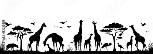 Silhouette of animals and birds in the savannah. African landscape scene. Vector horizontal seamless tropical background with giraffes, baby giraffes and hyenas. Black isolated silhouette