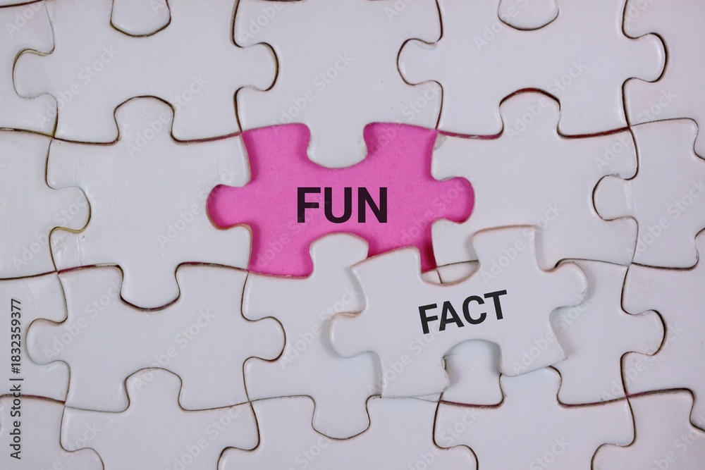 Fototapeta premium A close-up of interlocking puzzle pieces, featuring a pink piece labeled FUN and a white piece labeled FACT. It symbolizes curiosity, learning, and concepts in business.