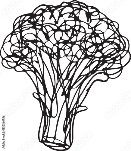 Abstract continuous line broccoli illustration in chaotic contour style for healthy food branding, packaging and clean modern layouts