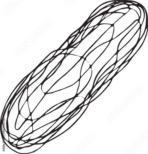 Abstract continuous line cucumber illustration with chaotic minimal shape style for packaging, culinary branding and clean layouts