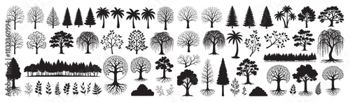 Variety of tree silhouettes including forest pine palm willow and leafy shapes in diverse botanical collection Concept of nature ecology growth