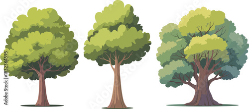Tree cartoon vector set, leafy green canopy, stylized trunk shapes, forest nature icons, flat illustration, side view, botanical concept