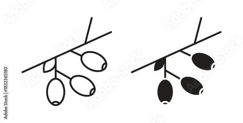 Jujube icon for web and app. vector illustration eps
