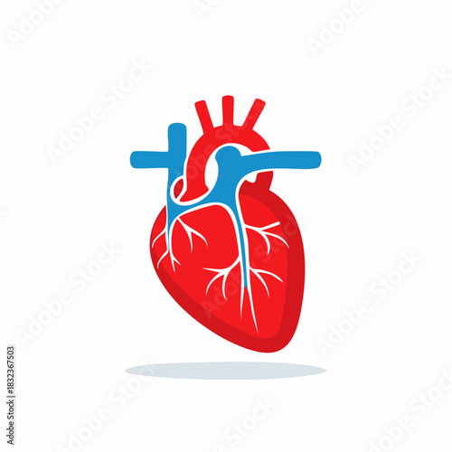 Stylized human heart illustration showing anatomy and major blood vessels a medical health symbol