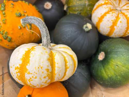 Pumpkins in the store in various colors and shapes for the Halloween holiday