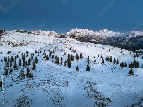 Wide aerial view of the snow-covered plateau on Velika planina, dotted with pine trees, set against the jagged, sunlit peaks of the Kamnik-Savinja Alps on a clear winter morning