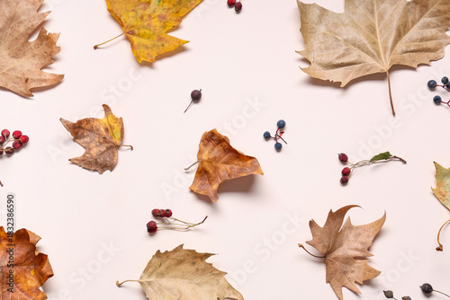 Composition with dried fall...