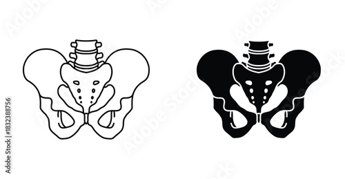 Pelvic area icon graphic design. Vector icon illustrations