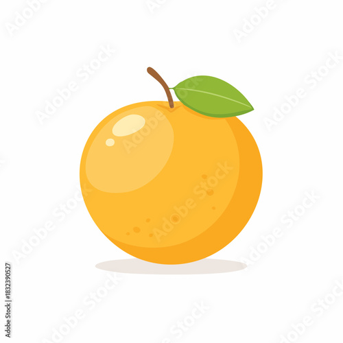Ripe Orange Fruit with Leaf Isolated on White Surface Still Life Cartoon Vector