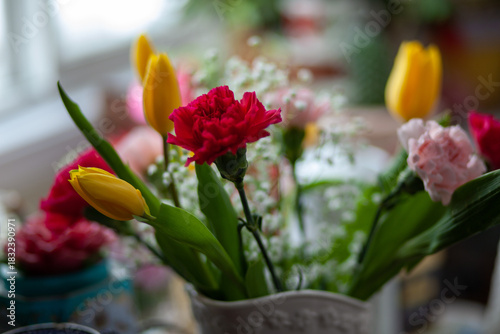 Carnation Delight