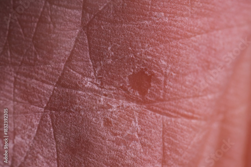 Принти на полотні Macro texture of dry feet
