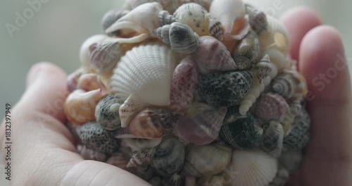 Hand Holding Intricate Seashell Sphere Art Piece