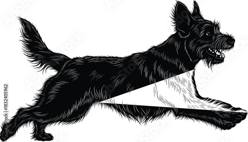 Black Silhouette and Engraving Illustration of a Small, Furry Terrier Dog Running or Jumping in Profile, Showing Energy and Playfulness.