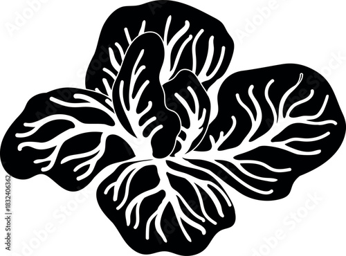 Black silhouette of cabbage isolated on white background