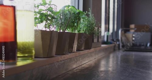 Displaying row of small potted herb plants sitting on wooden windowsill, with dark counter and sink