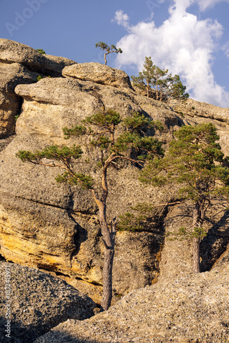 Rock formations and pine trees in the Castroviejo nature reserve, in Duruelo de la Sierra, Soria, Castile and Leon, Spain.