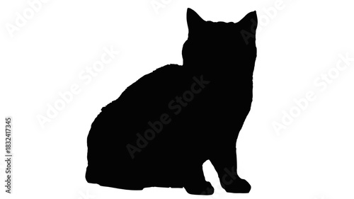 Elegant cat silhouette for modern designs or logo creation, perfect for pet stores or veterinary clinics