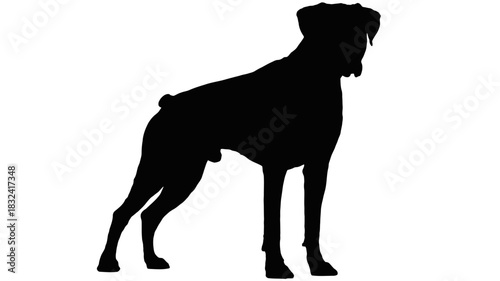 Powerful boxer dog silhouette stands guard with confidence, a symbol of loyalty and protection art