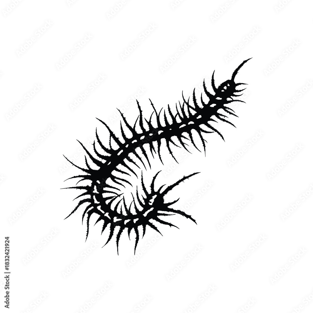 Fototapeta premium Black and white illustration of a millipede vector style