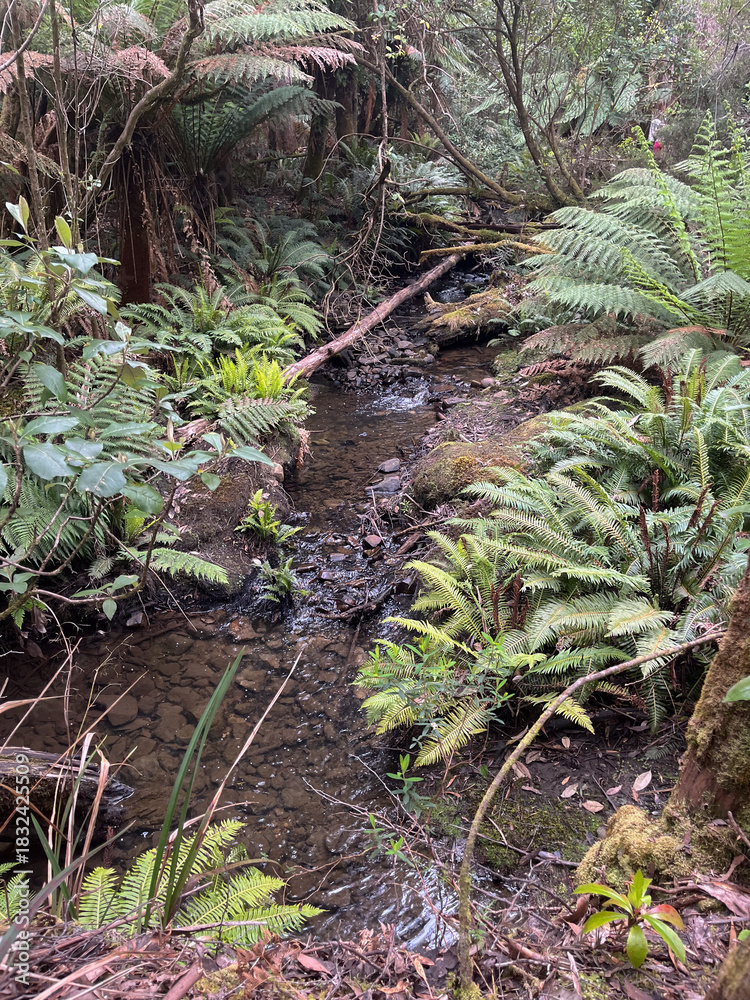 Obraz premium Thermal springs