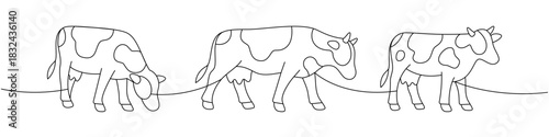 Cows in different poses. Elegant line drawing set of grazing and walking cattle