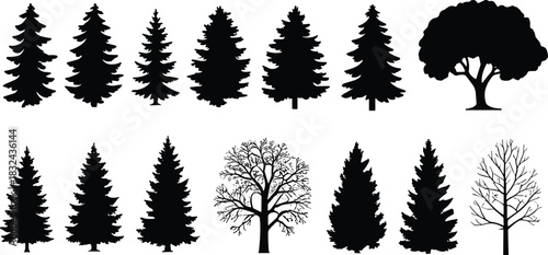 Vector set of black tree silhouettes including pine, fir, spruce, oak, and leafless winter trees isolated on white background.