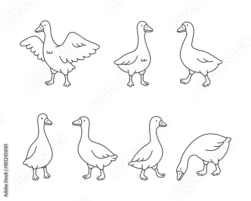Goose outlines in cartoon style. Set of clean black line illustration on white background
