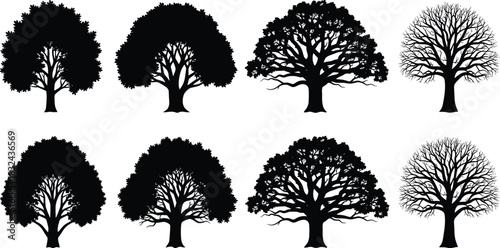 Black Silhouette Vector Set of Detailed Deciduous Trees with Full Leaves, Partial Foliage, and Bare Branches, Ideal for Nature Graphics, Landscaping Designs, and Environmental Icons