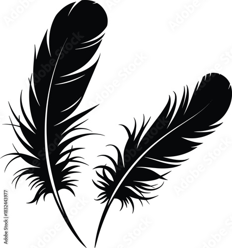 Black feather silhouette vector illustration, detailed bird feather design, minimalist natural element, decorative boho style art, isolated on white background