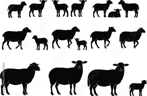 Black sheep silhouette vector illustration set, farm animal collection, lamb and ewe design, agriculture graphic element, livestock icon, pastoral countryside artwork