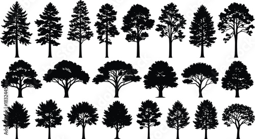 Large collection of diverse tree silhouettes vector illustration set, featuring pine trees, oak trees, and various deciduous and evergreen forest species for landscaping and graphic design.