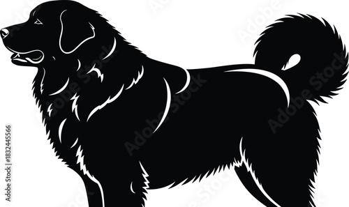 Tibetan Mastiff silhouette vector, black dog profile, thick fur detail, curled tail, livestock guardian icon, pet clipart, animal illustration
