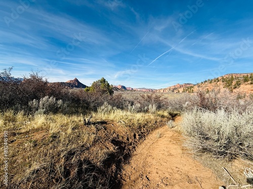 Φωτογραφία Hop Valley Trailhead to Wildcat trail