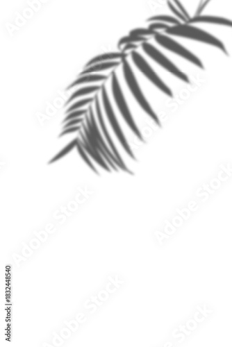Shadow of a tropical palm leaf with soft edges on a isolated background. This light gray, blurred overlay is ideal for product mockups, beauty advertisements, and minimalist, dreamy summer designs.
