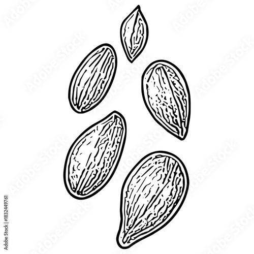 Assorted Seeds