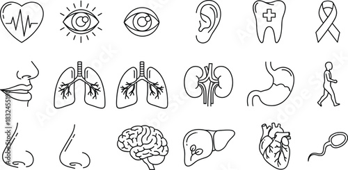 Human Anatomy and Internal Organs Icon Set: Heart, Lungs, Brain, Kidney, Eye, Mouth, Nose, Tooth, and Medical Awareness Symbols