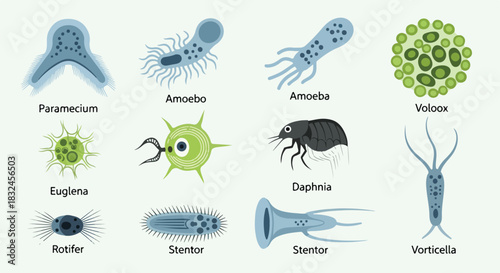 Microorganisms collection with transparent background