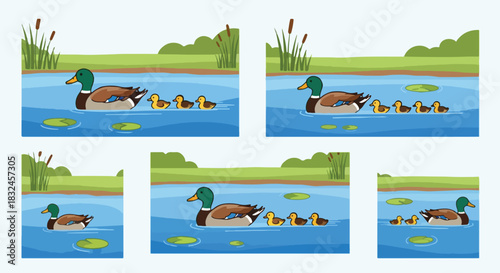 Duck family swimming in pond with green foliage
